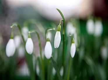 Ветер слабый, тепло и солнечно: латвийцам обещают чудесную пятницу