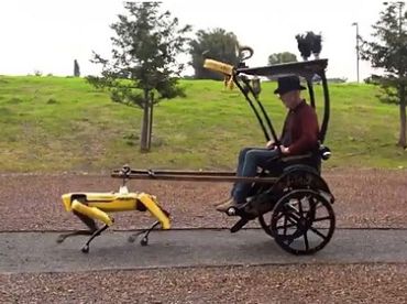 В США сделали робота, заменяющего собаку-поводыря, да ещё и говорящего