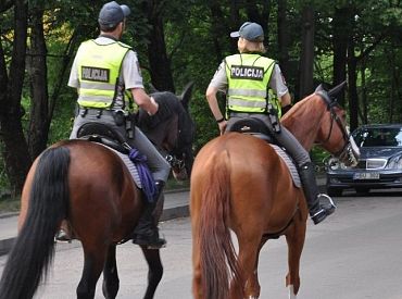 Одна лошадь может заменить десяток полицейских; каким образом и что делает в Риге конная полиция?
