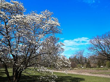Otrdien gaisa temperatūra Latvijā sasniegs 15 grādus