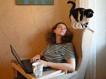 На «удаленке» споткнулся о кота, получил травму: несчастный случай на работе или нет? Мнение эксперта