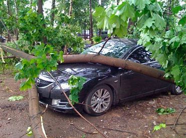 VUGD līdz pēcpusdienai saņēmis 32 izsaukumus par vēja un lietus radītiem postījumiem