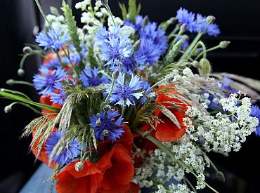 Jāņu nakts Latvijā gaidāma mākoņaina, Jāņos sāks skaidroties un kļūs siltāks