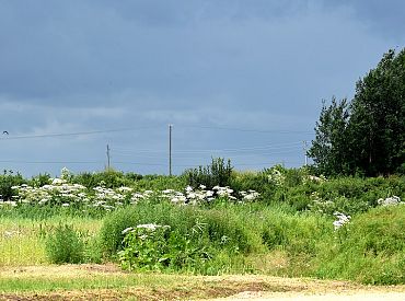 Sestdienas rītā pārsvarā mākoņains laiks; lielākie postījumi pēc negaisa — Latgalē un Vecpiebalgā