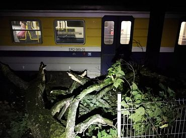 VUGD saņemtais izsaukumu skaits par vēja postījumiem — lielākais kopš 2016.gada