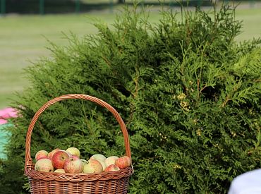 Piektdien gaisa temperatūra pakāpsies grādu augstāk