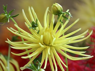 Nedēļas nogale varētu paiet bez lieliem nokrišņiem