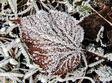 Nākamnedēļ gaidāmas stipras vēja brāzmas un temperatūras pazemināšanās