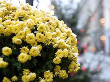 Nedēļas nogalē iespējams meteoroloģiskā rudens sākums