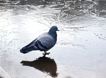 Jaunā nedēļa iesāksies ar skarbiem laikapstākļiem, kas pēc tam uzlabosies