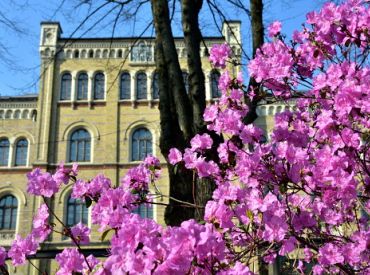 Nākamnedēļ Latvijā būs maz nokrišņu un daudz saules