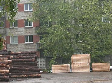 Лес пускают на растопку: проще и выгоднее производить доски и дрова, чем вкладываться в развитие