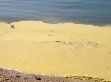 Пыльца наступает раньше и держится дольше: как выжить аллергику?