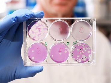 Latvijā oficiāli apstiprināti pirmie divi omikrona gadījumi