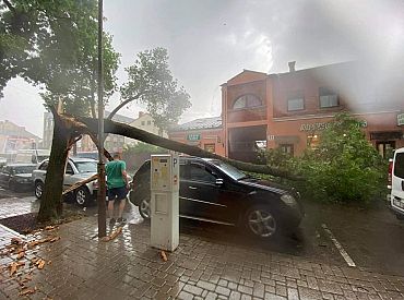 Negaiss pirmdien Daugavpilī sagāzis vismaz 30 kokus