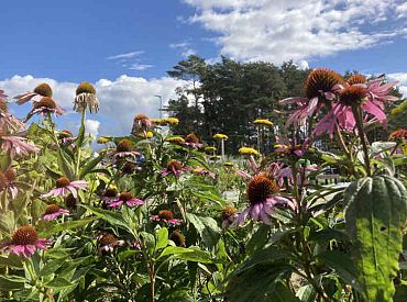 Svētdien gaisa temperatūra paaugstināsies līdz +26 grādiem