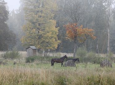 Pirmdien pūtīs lēns vējš un būtiski nokrišņi nav gaidāmi