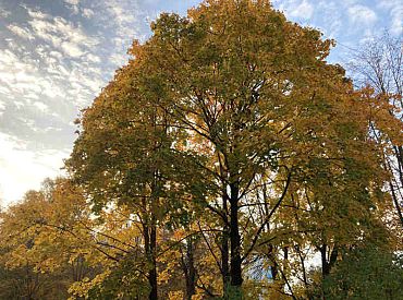 Latvijā atgriežas rudenīgi laika apstākļi, otrdien gaidāms arī lietus