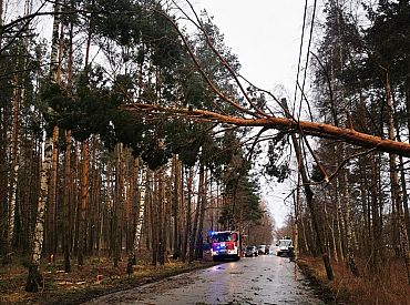 Aizvadītajā diennaktī VUGD saņēmis 32 izsaukumus, kas saistīti ar vēja radīto postījumu likvidēšanu