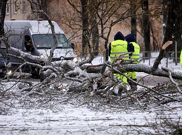 «Sadales tīkls» nedēļas nogalē un pirmdienas rītā novērsis 924 vētras radītus elektrotīkla bojājumus