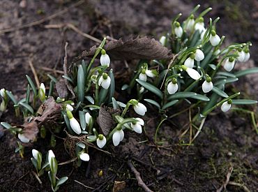 За ночь в Латвии превзойдено 20 рекордов тепла; на следующей неделе ожидаются новые