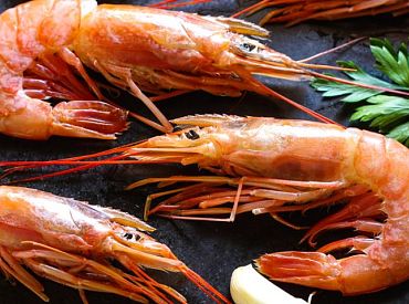 Тигровые, королевские: что нам продают под видом креветок?