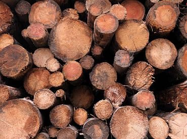 Одно из крупнейших деревообрабатывающих предприятий Латвии продано иностранцам