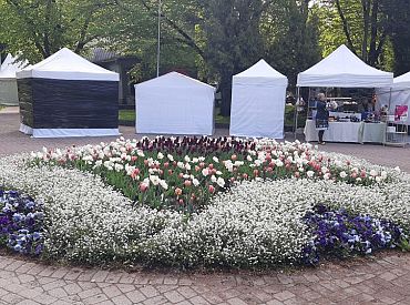 Концерты по четвергам будут проходить в Верманском саду