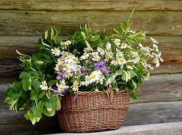 Jaunnedēļ biežāk uzspīdēs saule un līs visā Latvijā