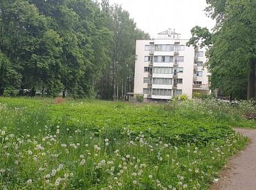 Karstā un sausā laika dēļ RNP pārtrauc zāles pļaušanu