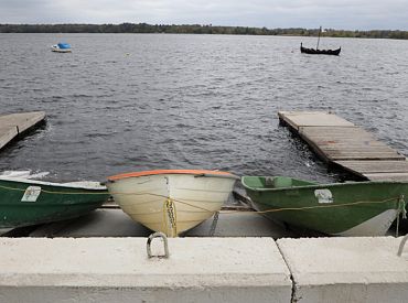 Плотины вызывают заболевания у форели: исследование