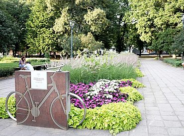 По всей Латвии активно воруют цветы с клумб; убытки самоуправлений — сотни евро