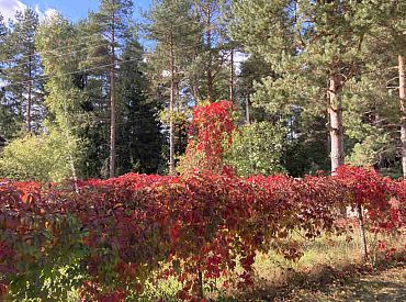 Brīvdienas sāksies ar sausu un vasarīgi siltu laiku