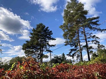 Svētdien gaidāms silts laiks un lietus uzlīs tikai vietām