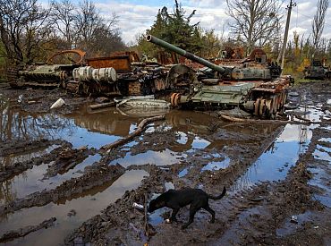 Украина расследует вероятный расстрел пленных под Донецком