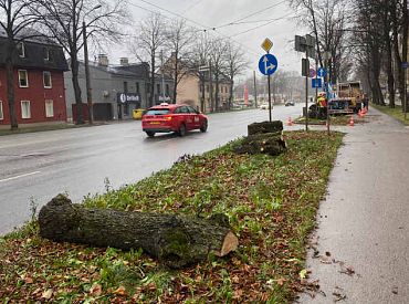 Уточненный прогноз о сильном ветре: когда стихнет буря?