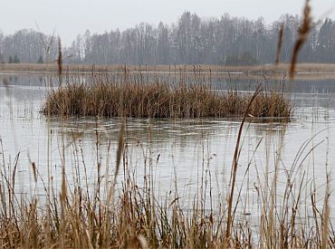 «Lauku ceļotājs»: Lauku tūrisms piesaista ar neskartu dabu un maz cilvēkiem