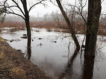 Tuvākās diennaktis būs pārsvarā mākoņainas, brīžiem līs