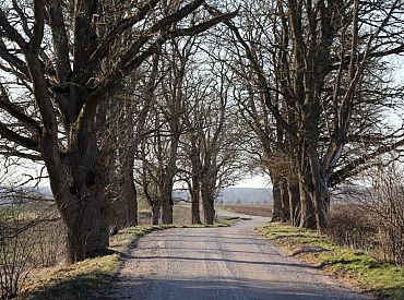 Nedēļas otrajā pusē Latvijā kļūs siltāk un brīžiem līs