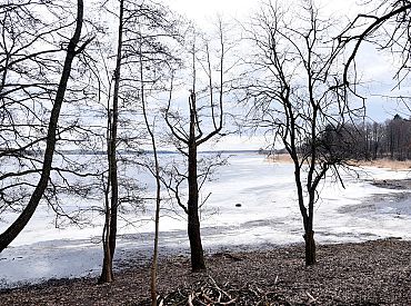 Prognoze sestdienai: vēja brāzmas, bez nokrišņiem, temperatūra virs nulles