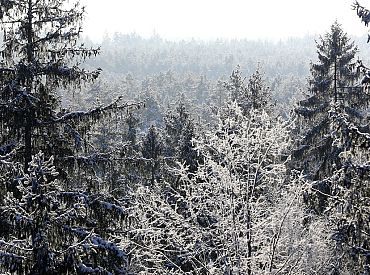 Gaisa temperatūra naktī vietām noslīdējusi zem -10 grādiem