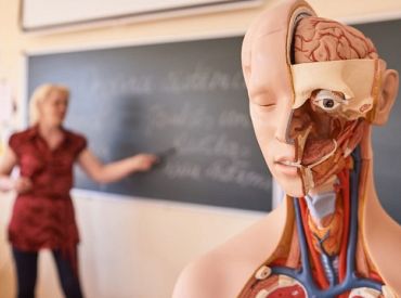 Par valsts valodas nelietošanu pietiekamā apmērā šogad sodīti 144 pedagogi