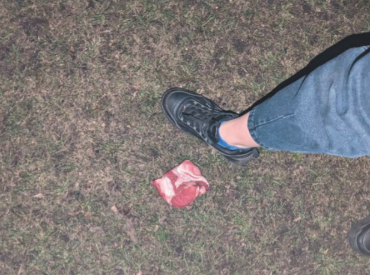 «Последствий избежать не получится»: в Иманте появился отравитель собак (ФОТО)