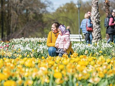 Крупнейший в Северной Европе: Литва открывает фестиваль весенних цветов