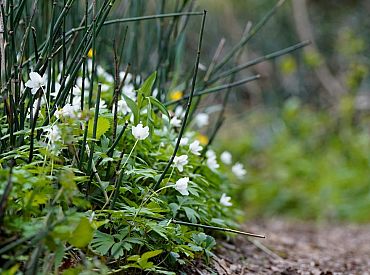 Побит рекорд тепла для начала марта: воздух прогрелся до +17