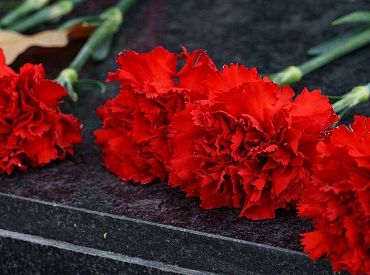 Чем это отличается от России? Лато Лапса возмущен задержанием за цветы в «неправильном» месте