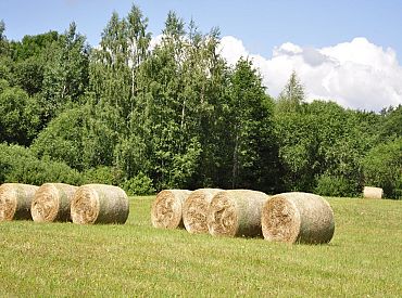 Piektdien daudzviet īslaicīgi līs, vietām dārdēs pērkons