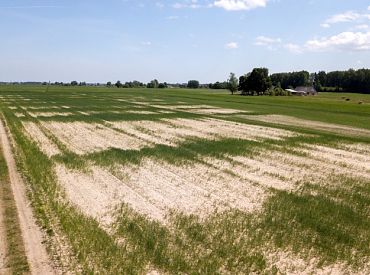 VAAD: Lauksaimniecībā izmantojamās zemes augsnes stāvoklis turpina pasliktināties