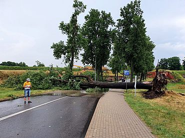 Из-за поломанных деревьев местами блокировано движение