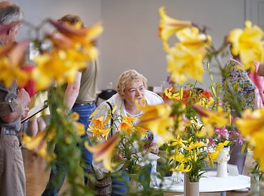 В Музее природы открылась выставка лилий: красота и ароматы невероятные